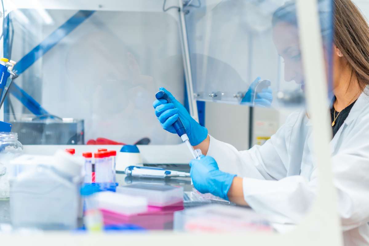 Laboratorio