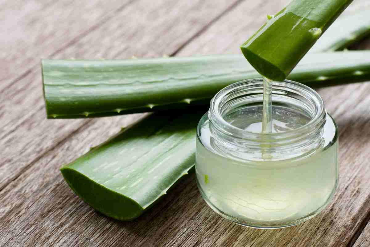 shampoo: ti basta un ingrediente per un risultato wow
