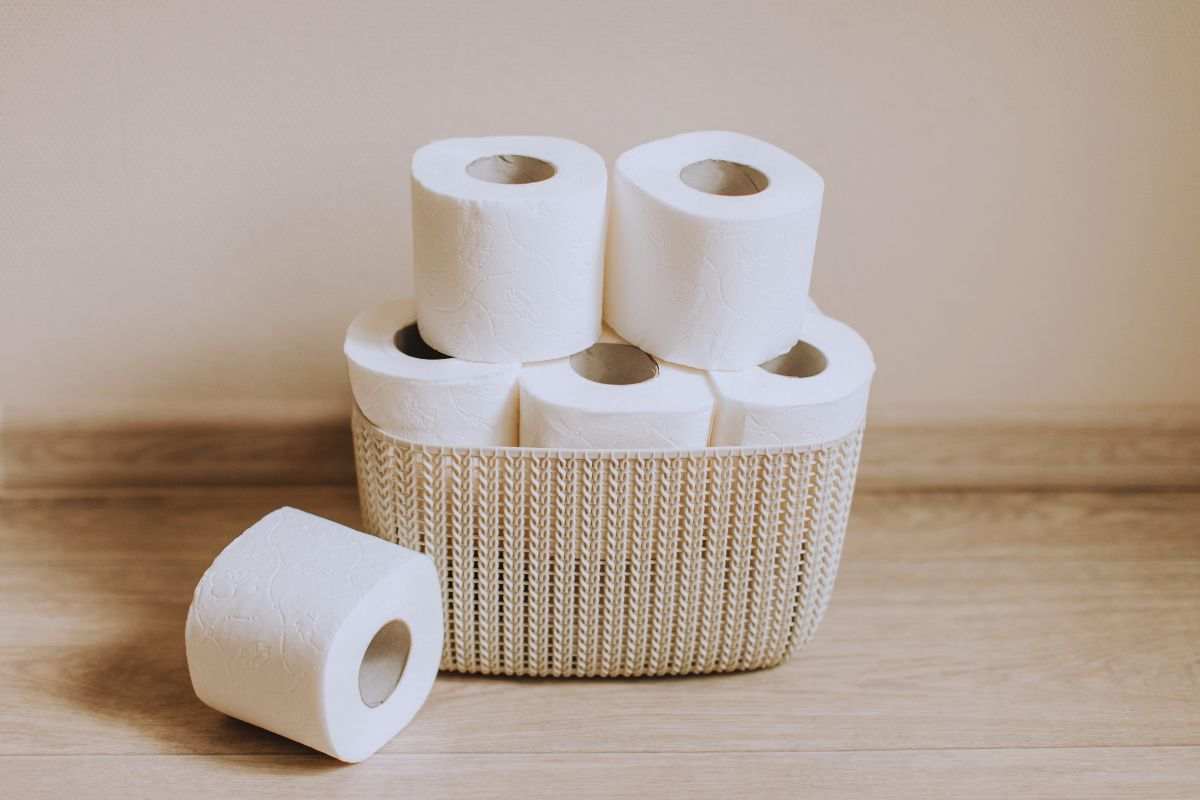 come realizzare oggetti con la carta igienica